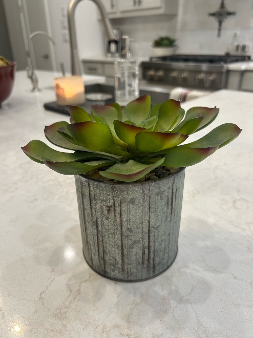 New Kirklands Green Succulent with Red-Tipped Leaves in Metal Pot